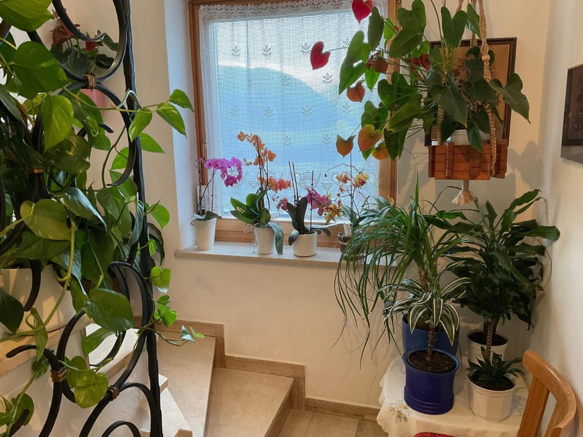 Alpenblick Bed & Breakfast Vipiteno Exterior foto